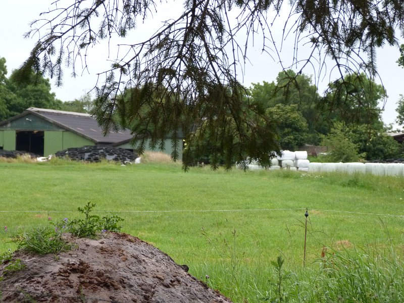 Biogasanlagenbesuch, 04.Juli 2011 078.JPG